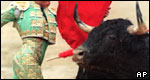 A bull-fighter with a bull in Spain